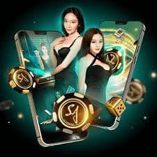 vwin21